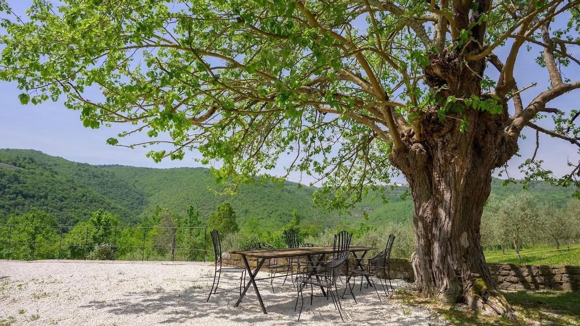 Villa-Mare Motovun Holiday home
